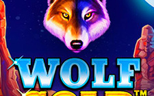La slot machine Wolf Gold